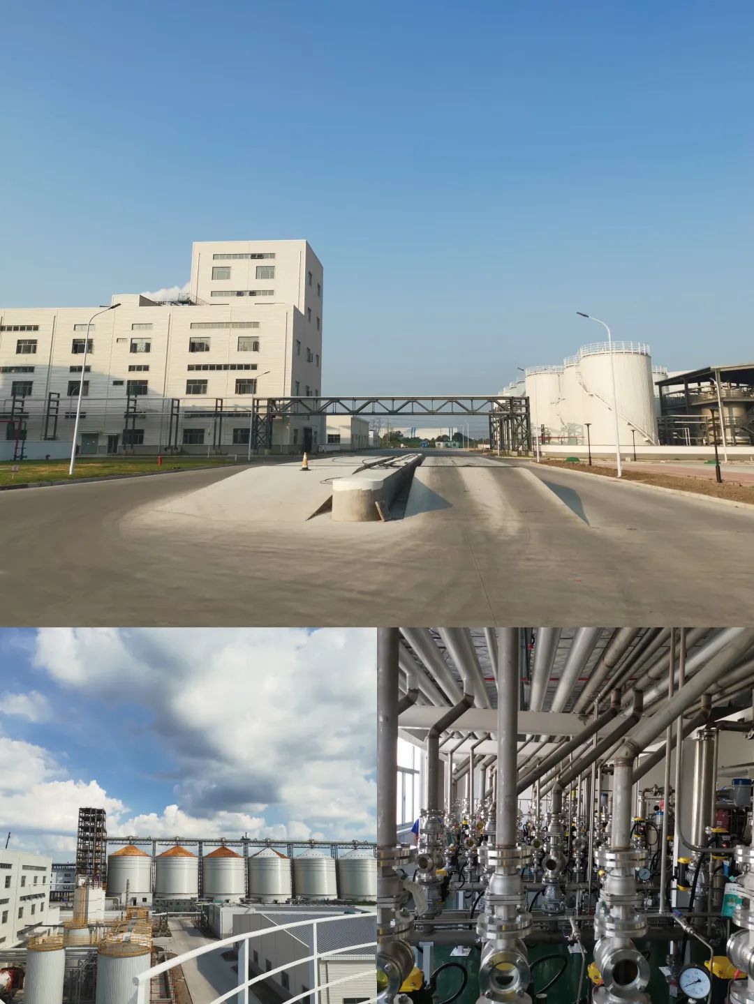 澳门电子游戏app